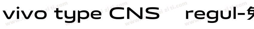 vivo type CNS简 regul字体转换